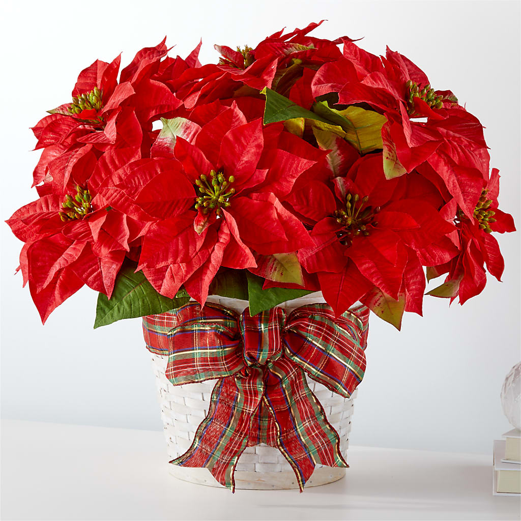 Happiest Holidays Poinsettia – The Country Florist, Armour SD