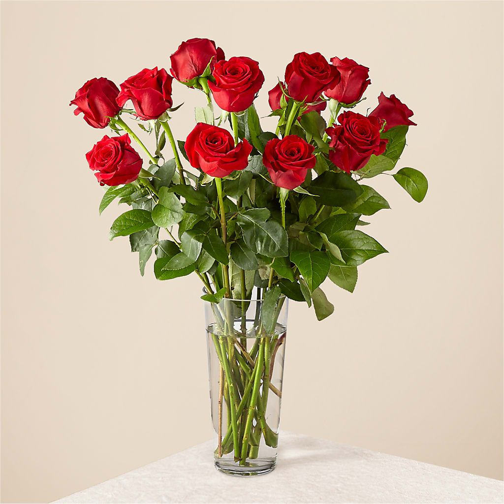 Long Stem Red Rose Bouquet – The Country Florist, Armour SD