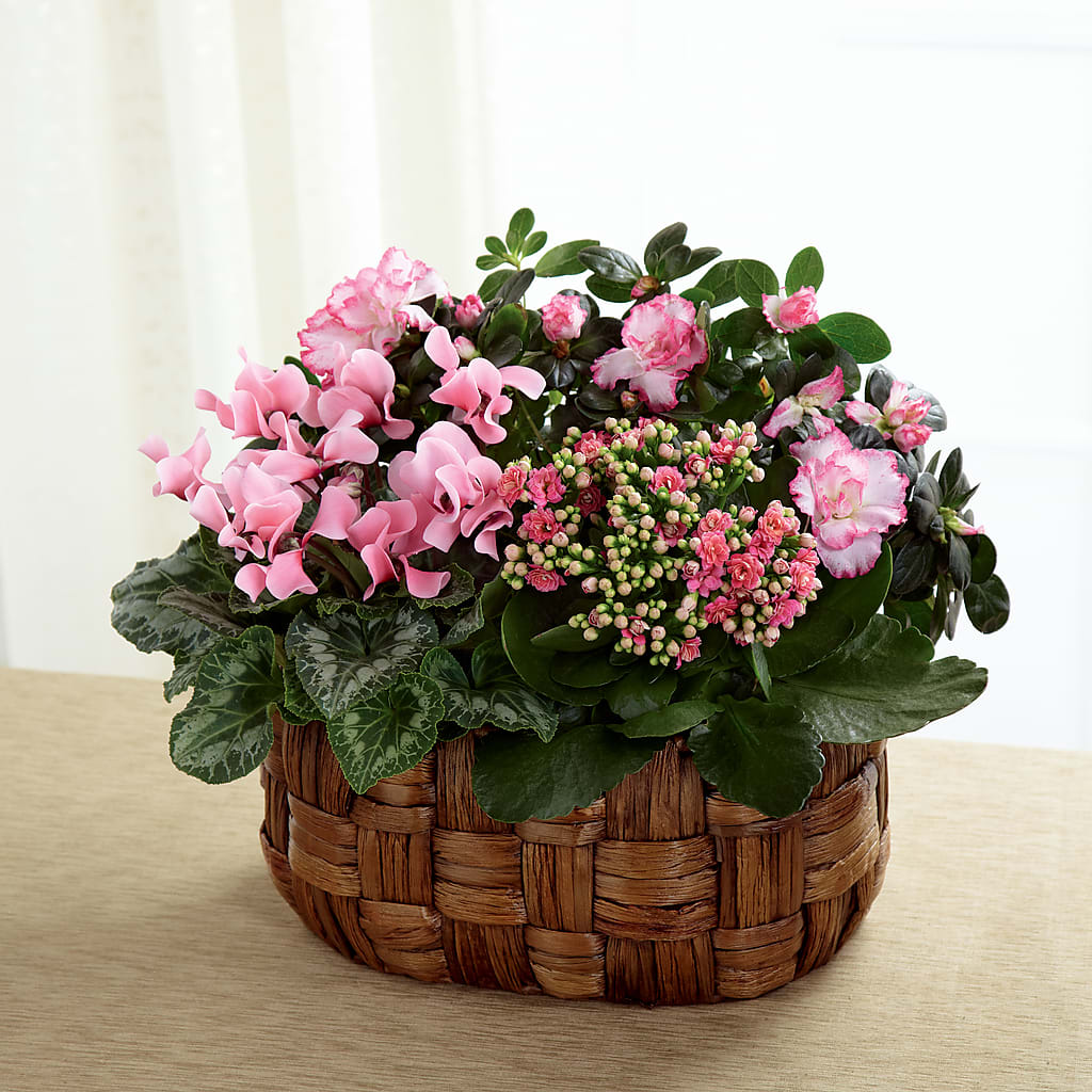 Pink Assortment – The Country Florist, Armour SD