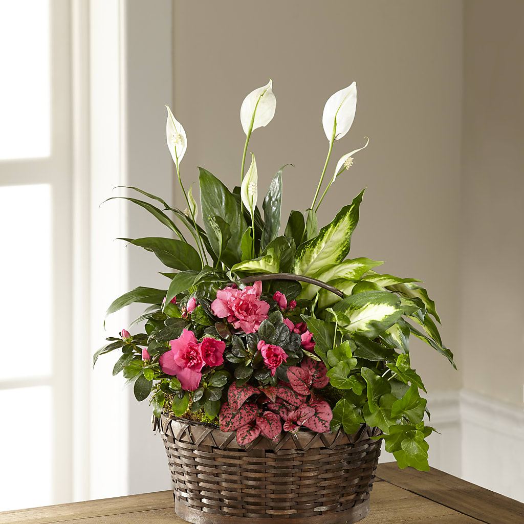 Dream in Pink Dishgarden – The Country Florist, Armour SD