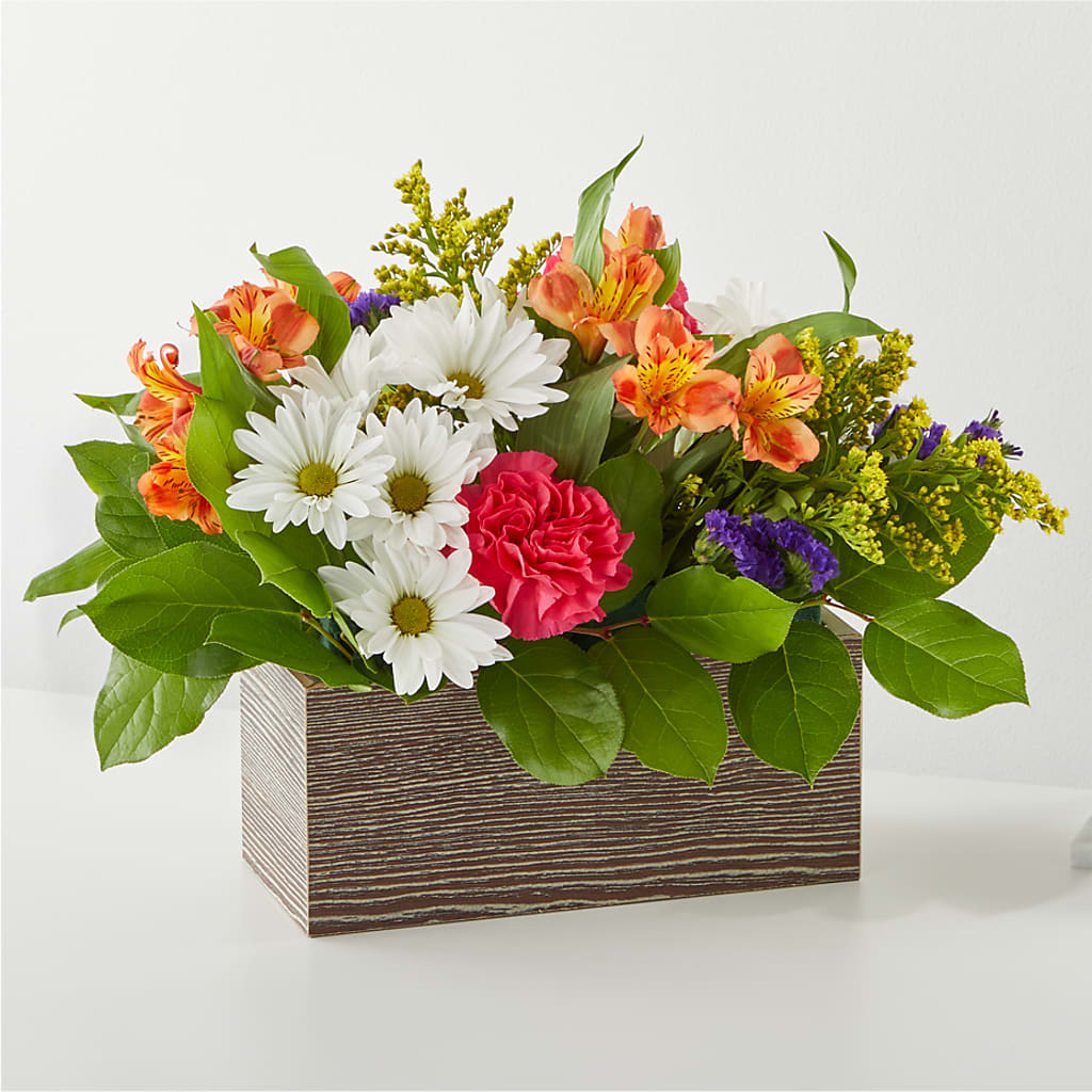 Oopsie Daisy Box Bouquet – The Country Florist, Armour SD