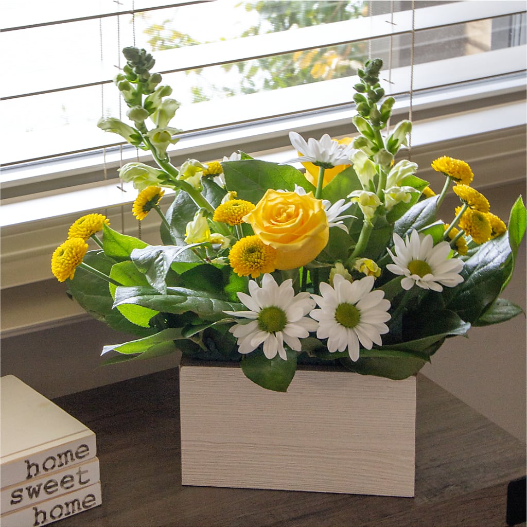 Sun Salutation Box Bouquet – The Country Florist, Armour SD