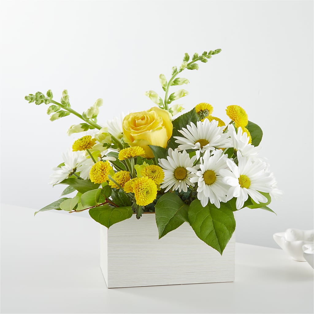 Sun Salutation Box Bouquet – The Country Florist, Armour SD