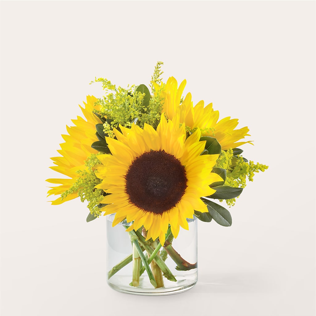 Beaming Sunflower Bouquet – The Country Florist, Armour SD