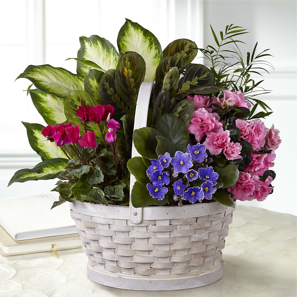 Peaceful Garden Planter – The Country Florist, Armour SD