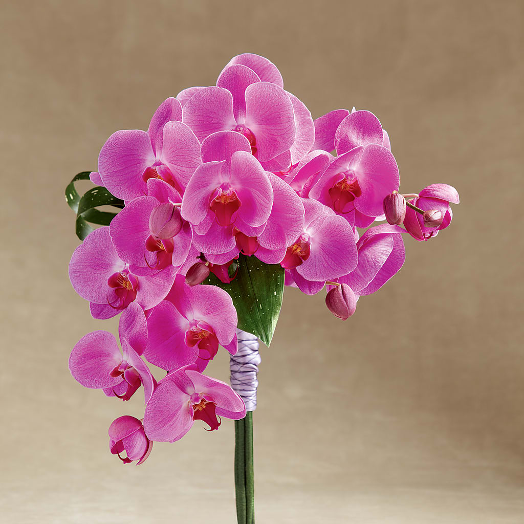 Glorious Bouquet – The Country Florist, Armour SD