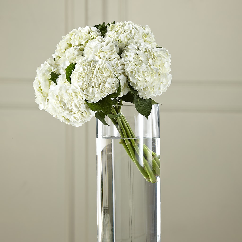 White Hydrangea Hand-Tied Bouquet – The Country Florist, Armour SD