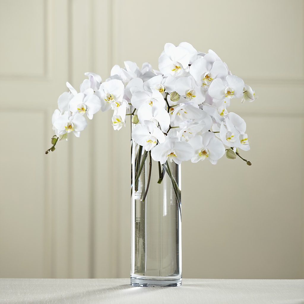 White Phalaenopsis Bouquet – The Country Florist, Armour SD