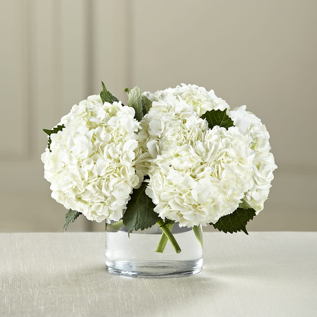 White Hydrangea Bouquet – The Country Florist, Armour SD