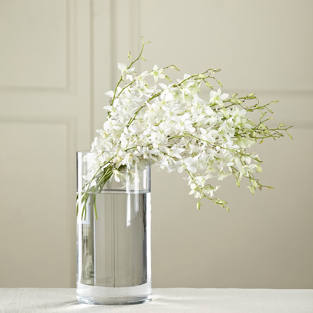 White Dendrobium Bouquet – The Country Florist, Armour SD