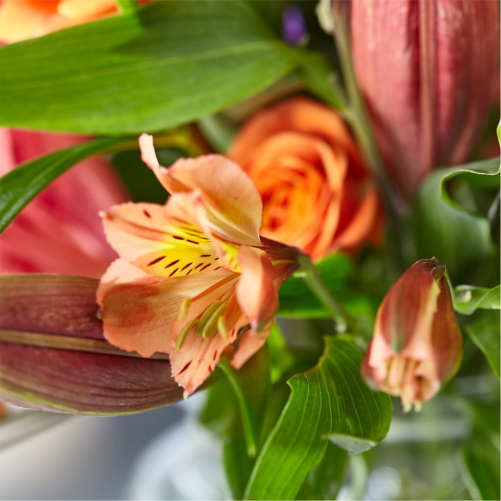 Bold & Bright – A Florist Original –  The Country Florist, Armour SD