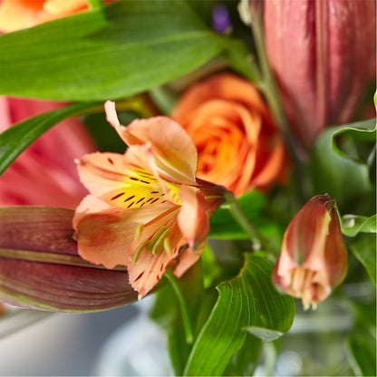 Bold & Bright – A Florist Original –  The Country Florist, Armour SD