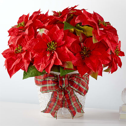 Happiest Holidays Poinsettia –  The Country Florist, Armour SD