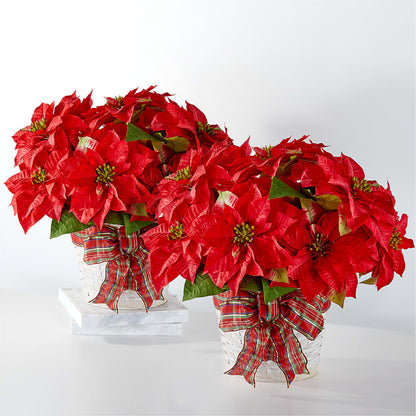 Happiest Holidays Poinsettia Bundle –  The Country Florist, Armour SD