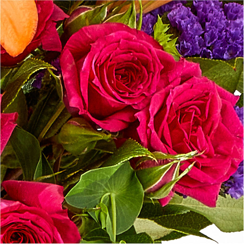 Birthday Palooza Bouquet –  The Country Florist, Armour SD
