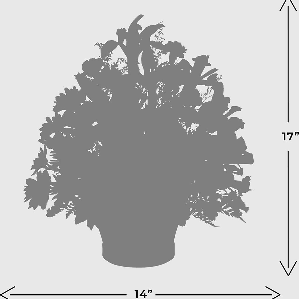 The Wondrous Nature Bouquet –  The Country Florist, Armour SD