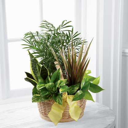 French Garden –  The Country Florist, Armour SD