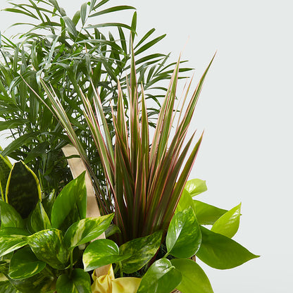 French Garden –  The Country Florist, Armour SD