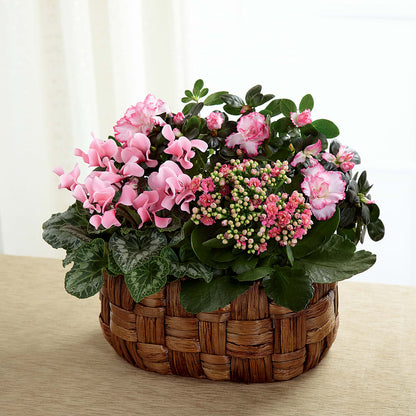 Pink Assortment –  The Country Florist, Armour SD