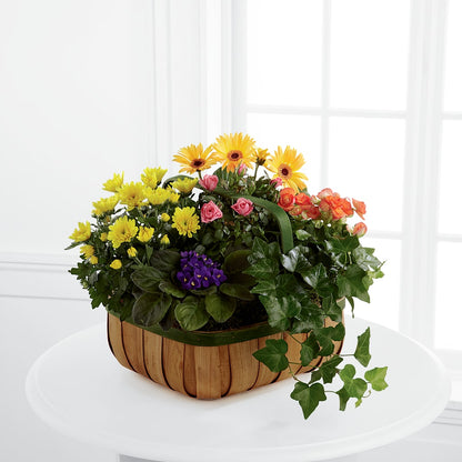 Gentle Blossoms Basket –  The Country Florist, Armour SD
