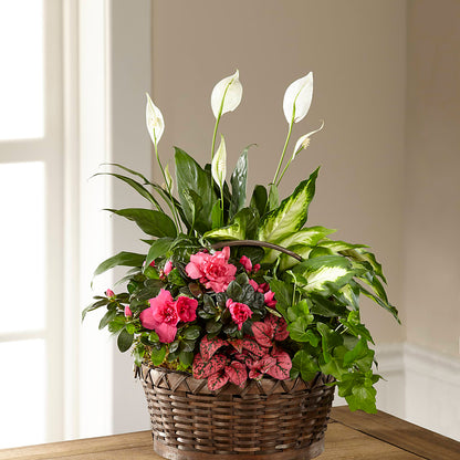 Dream in Pink Dishgarden –  The Country Florist, Armour SD