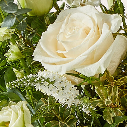 Cashmere Bouquet –  The Country Florist, Armour SD