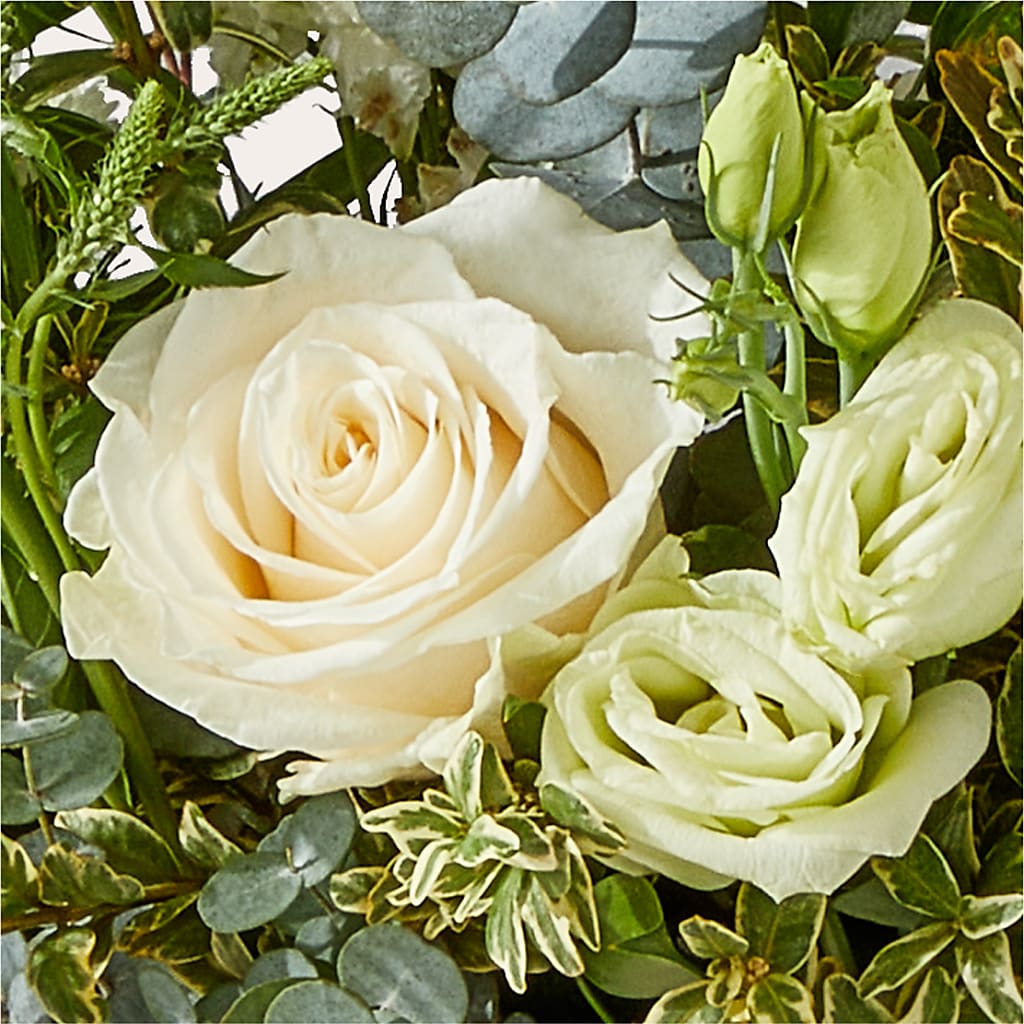 Cashmere Bouquet –  The Country Florist, Armour SD