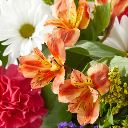 Oopsie Daisy Box Bouquet –  The Country Florist, Armour SD