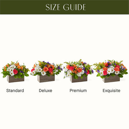 Oopsie Daisy Box Bouquet –  The Country Florist, Armour SD