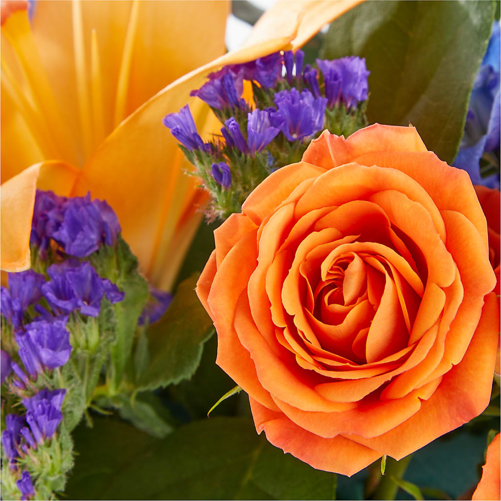 Radiant Citrus Box Bouquet –  The Country Florist, Armour SD