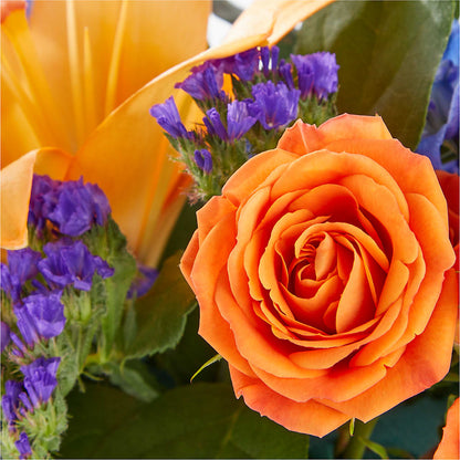 Radiant Citrus Box Bouquet –  The Country Florist, Armour SD