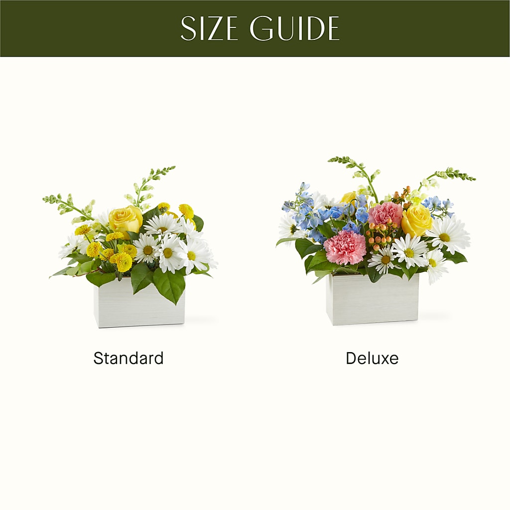 Sun Salutation Box Bouquet –  The Country Florist, Armour SD