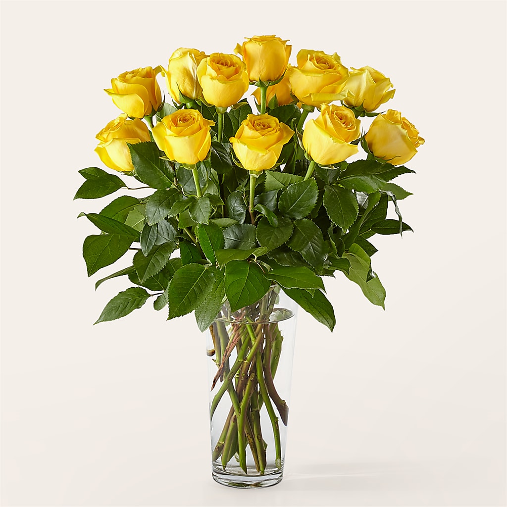 Long Stem Yellow Rose Bouquet –  The Country Florist, Armour SD