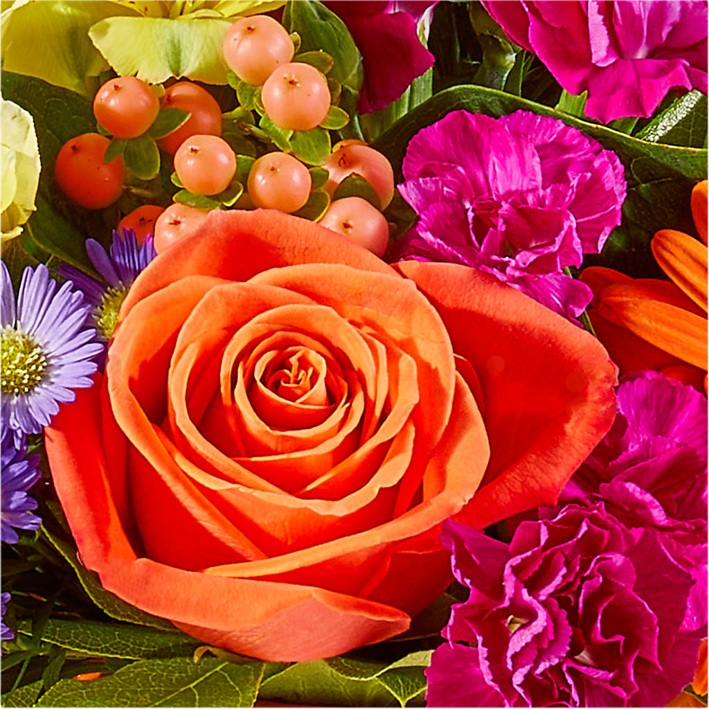 Tricks & Treats Pumpkin –  The Country Florist, Armour SD