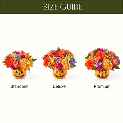Tricks & Treats Pumpkin –  The Country Florist, Armour SD