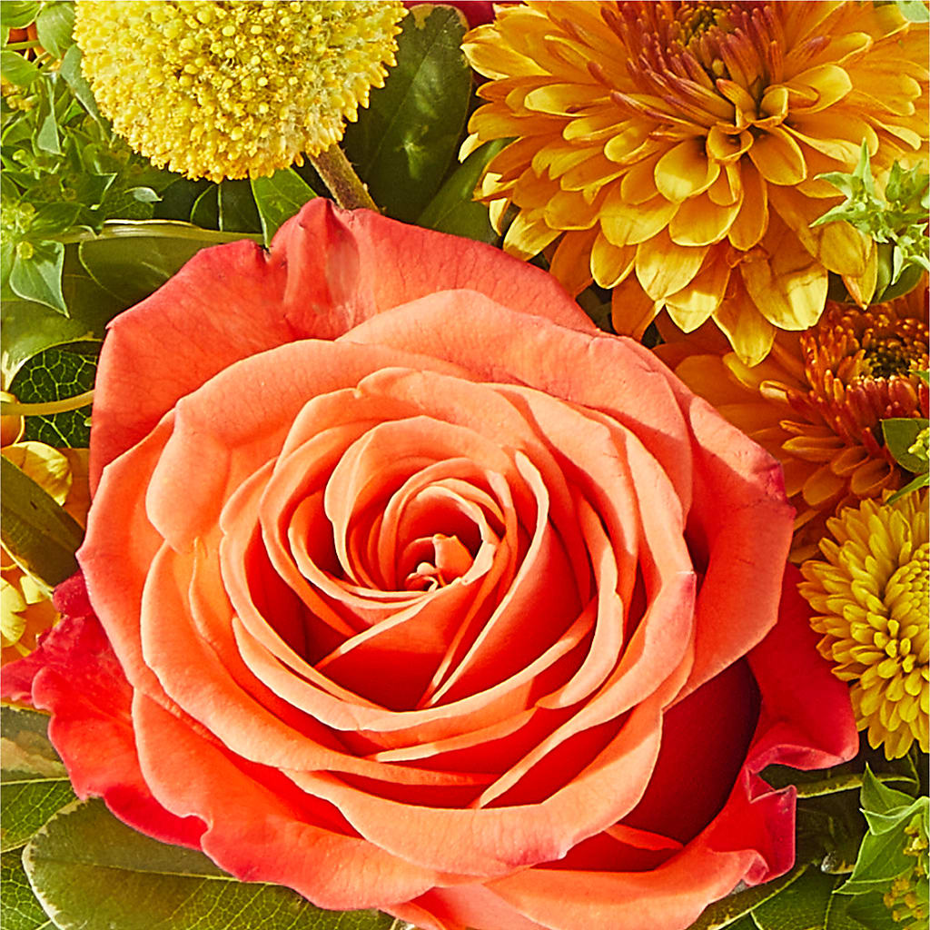 Gourdgeous Pumpkin –  The Country Florist, Armour SD