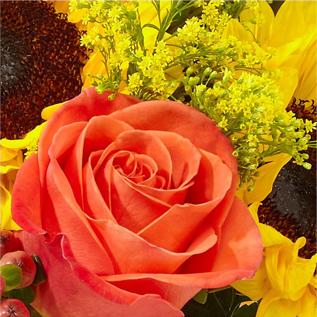 Pick of the Patch Pumpkin Bouquet –  The Country Florist, Armour SD