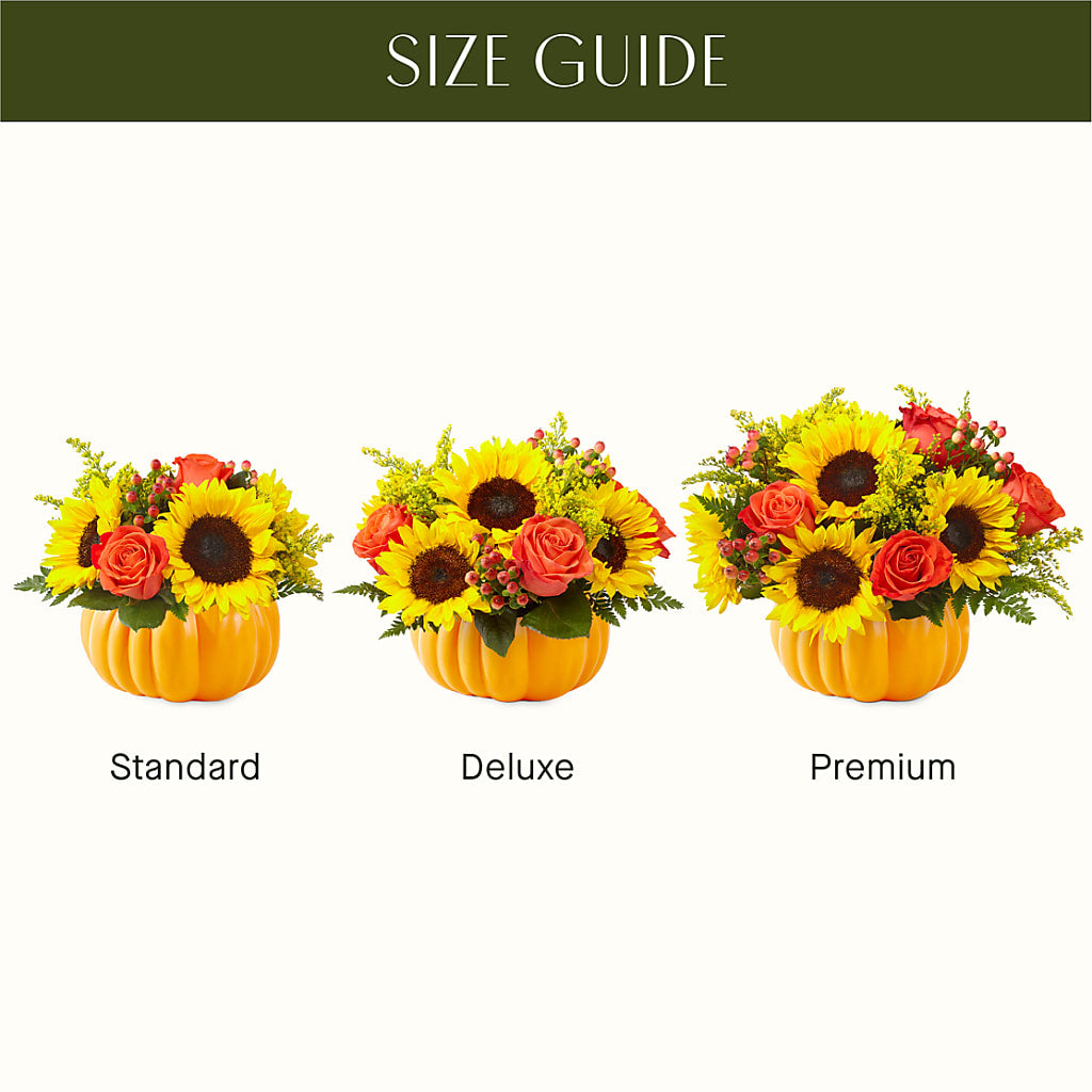 Pick of the Patch Pumpkin Bouquet –  The Country Florist, Armour SD