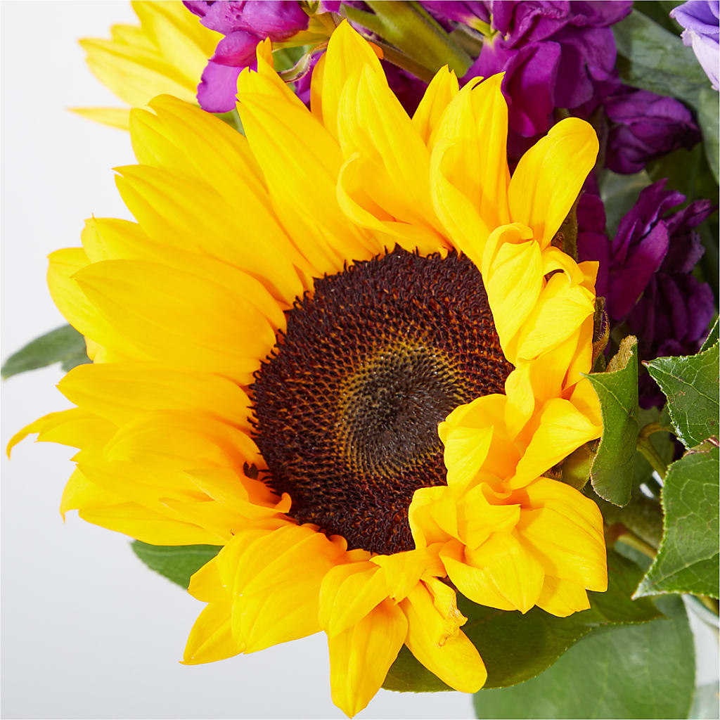 Catching Rays Bouquet –  The Country Florist, Armour SD