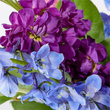 Twilight Glow Bouquet –  The Country Florist, Armour SD