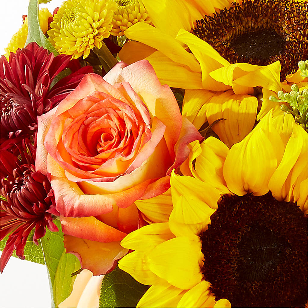 Golden Gourd Pumpkin Bouquet –  The Country Florist, Armour SD
