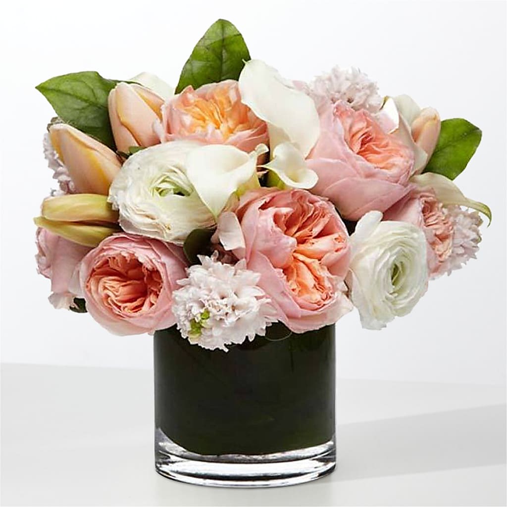 The Destiny