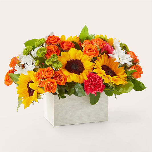 Sun-drenched Blooms Box Bouquet –  The Country Florist, Armour SD