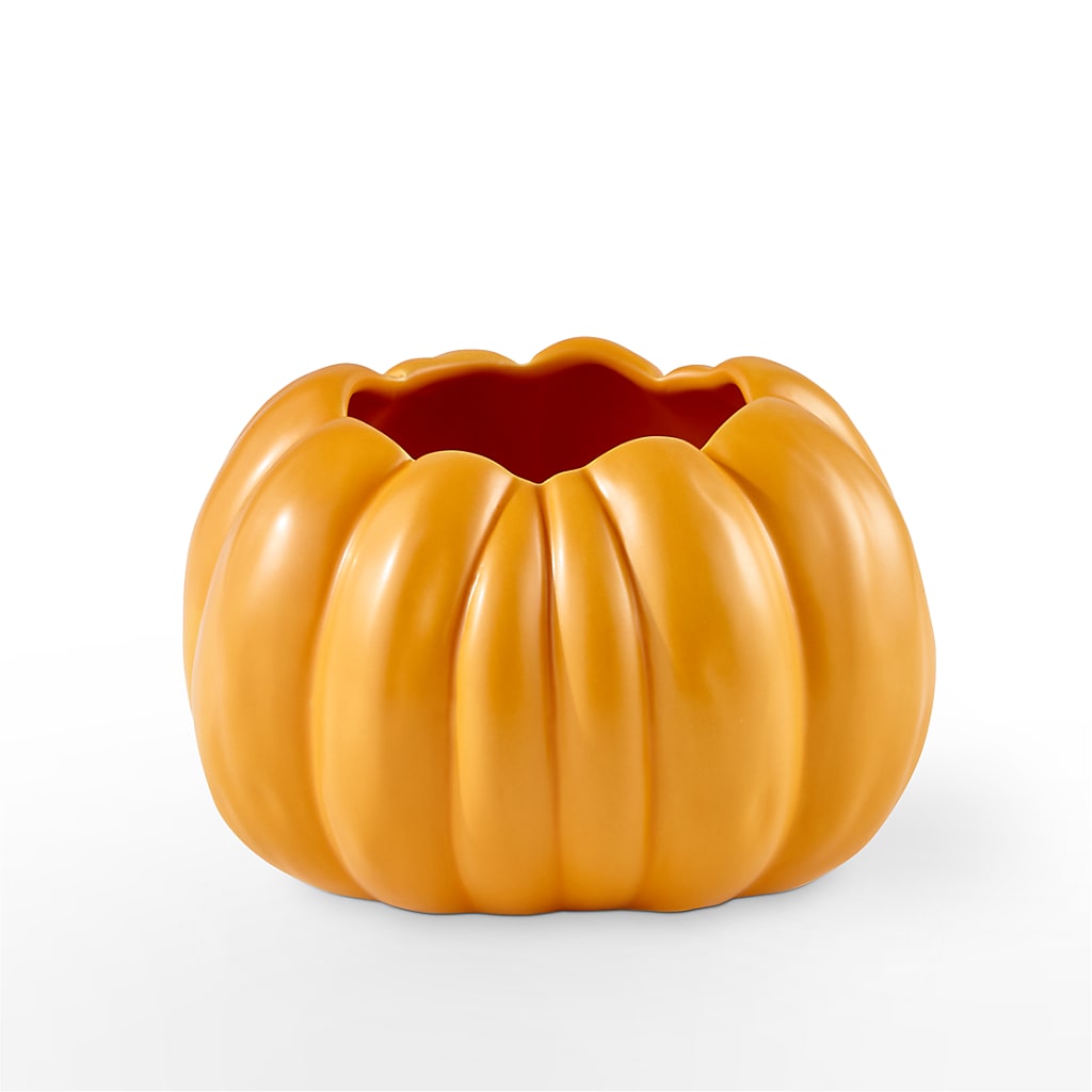 Pick of the Patch Pumpkin Bouquet –  The Country Florist, Armour SD
