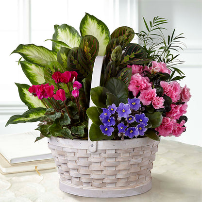 Peaceful Garden Planter –  The Country Florist, Armour SD