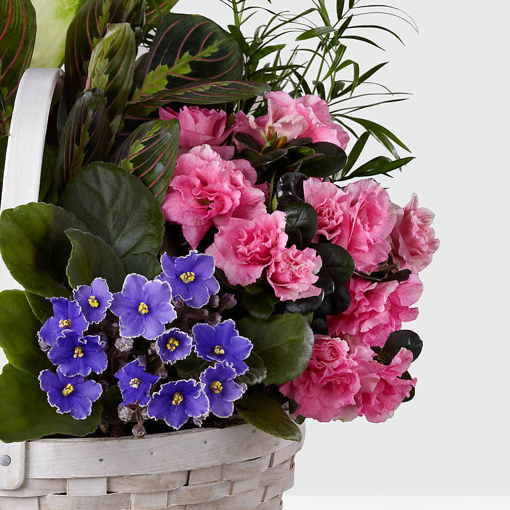 Peaceful Garden Planter –  The Country Florist, Armour SD
