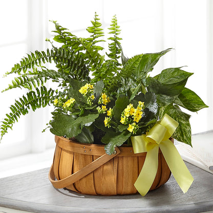 Always Dear Dishgarden –  The Country Florist, Armour SD