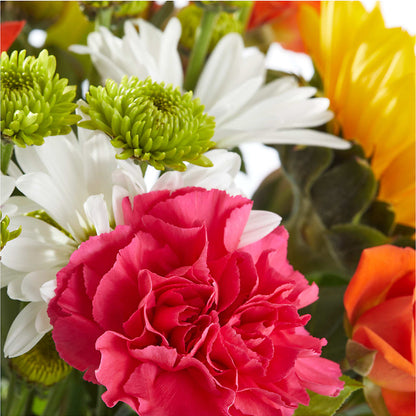 Sun-drenched Blooms Bouquet –  The Country Florist, Armour SD