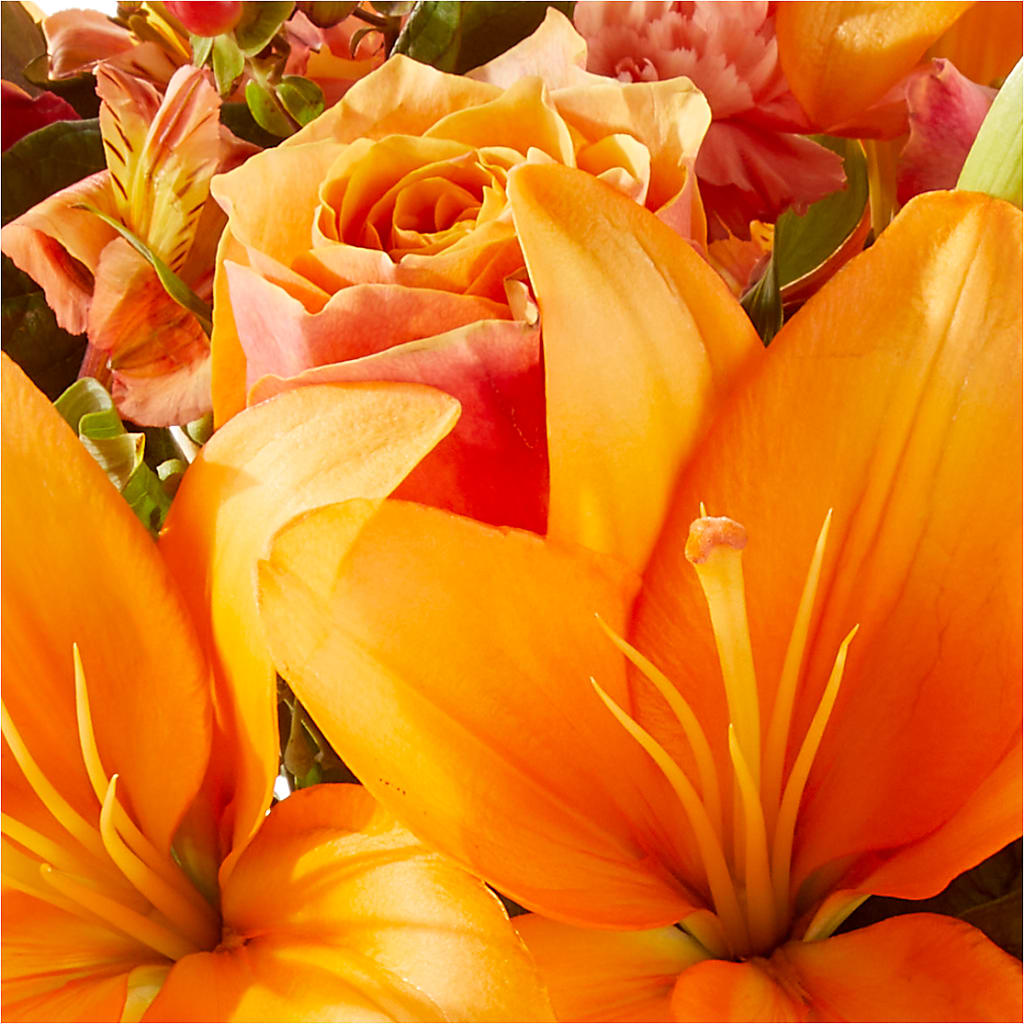 Afternoon Light Bouquet –  The Country Florist, Armour SD