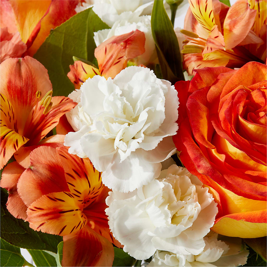 Apricot Glow Bouquet –  The Country Florist, Armour SD